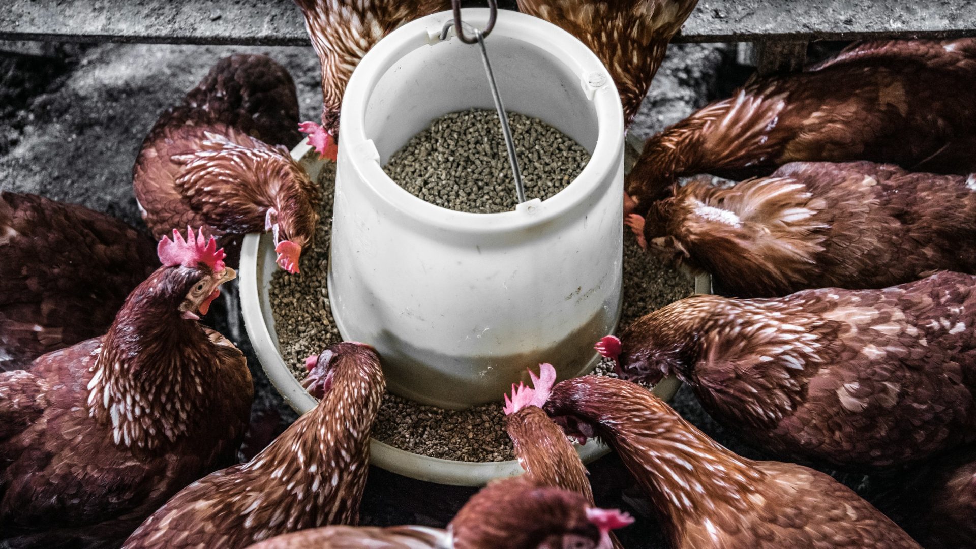 arisa-chattasa-mJ7ghTbKXYo-unsplash